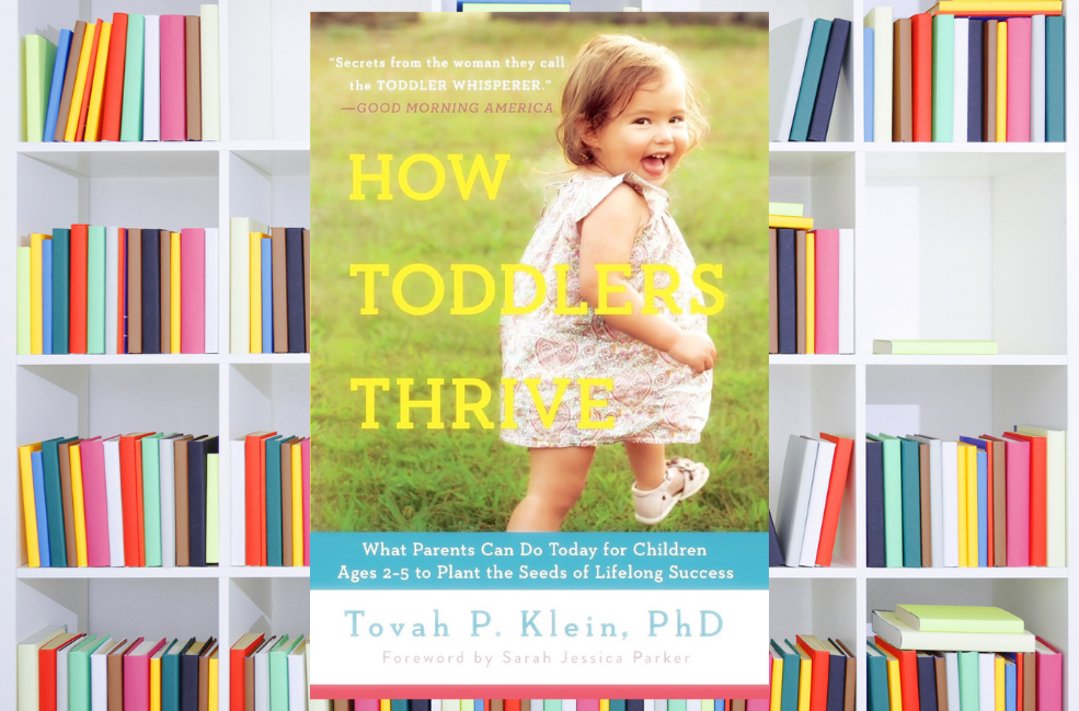 The Handbook We All Need to Support our Toddlers
